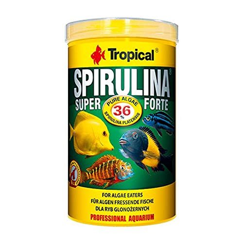 Tropical Super Spirulina Forte Pul Yem 100gr Kovadan Bölme