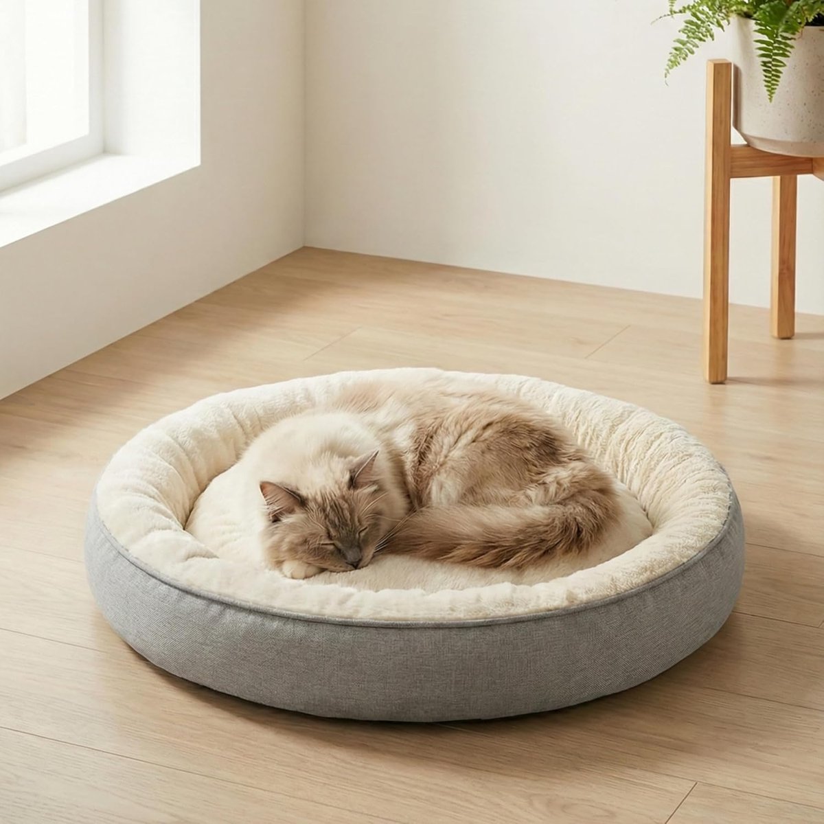 Jungolica Bunny Kedi ve Köpek Yatağı Bej 85x85x15 cm Büyük, Donut Şekli, Yükseltilmiş Kenar, Ultra Y