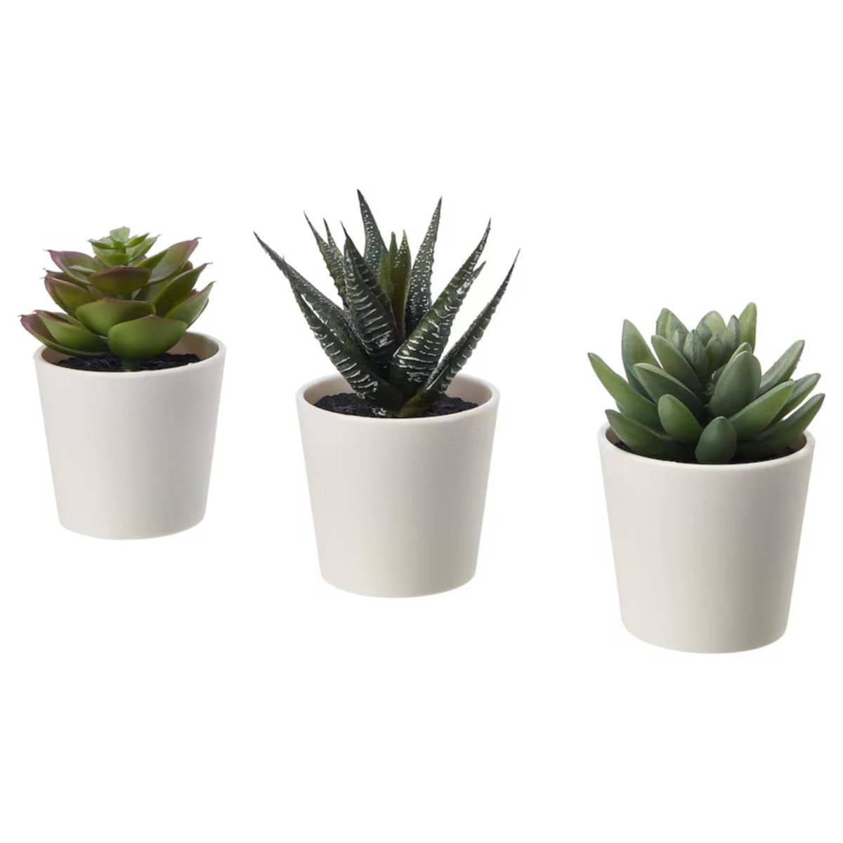 IKEA Fejka Yapay Saksı Bitkisi Saksılı İç Mekan Dış Mekan Etli / 3'lü Paket Boyutu 2 ¼ " 3'lü Paket