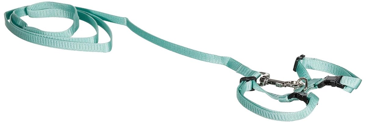 Pawise Kedi Göğüs T.(14.5-25/18-30Cm) Yeşil-Mavi S