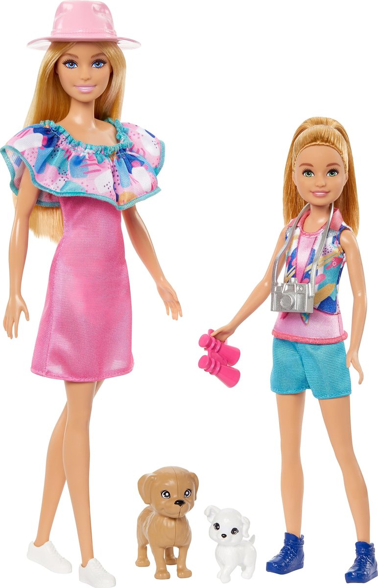 Barbie ve Stacie Kız Kardeşler İkili Set 2 evcil köpek ve aksesuarlar bulunan Barbie ve Stacie kız kardeş bebek seti HRM09