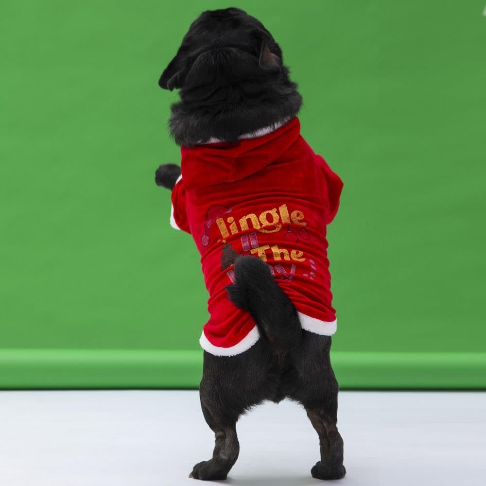 Pawstar Jingle Küçük Köpek Yılbaşı Sweatshirtü (XL)