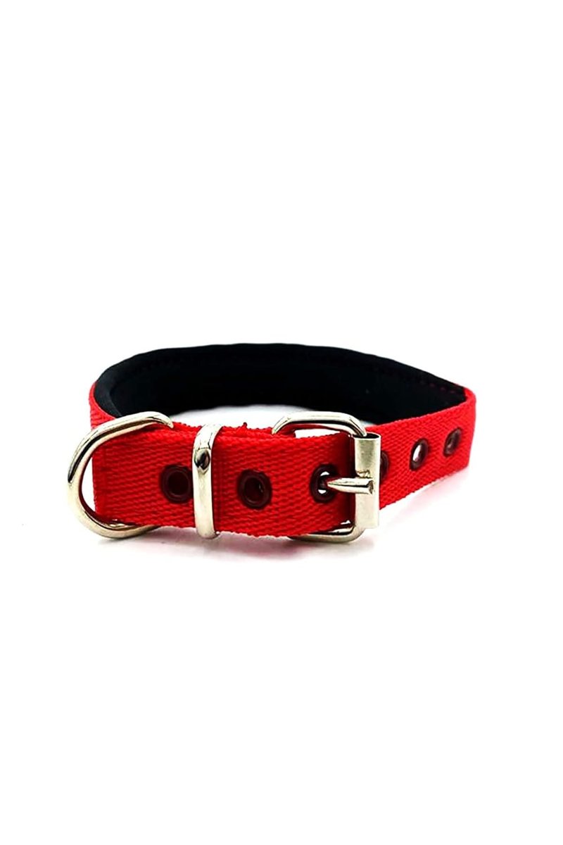 Mizgin Küçük Irk ve Yavru Yumuşak Dokulu Köpek Tasması (Kırmızı)