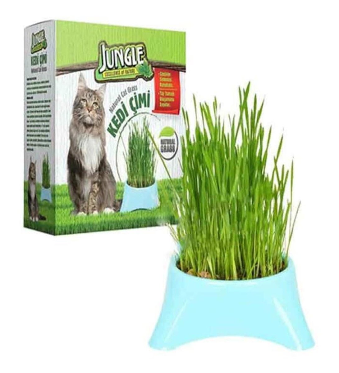 Jungle-Fileli Kedi Çimi