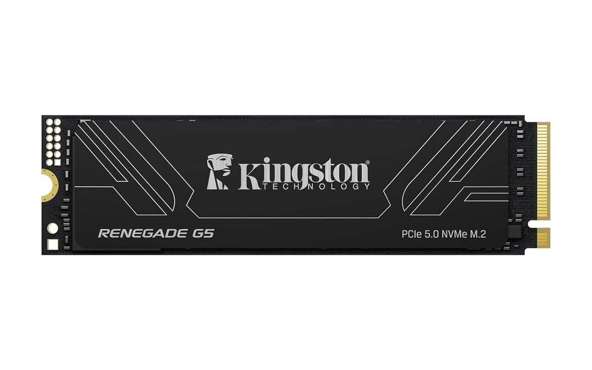 Kingston Renegade G5 1TB 14200-11000MB/S M2 Nvme Gen5 SSD Bellek SRNG2S/1T0