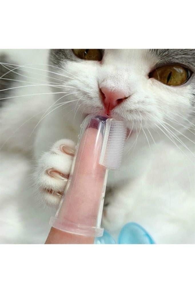 Kedi Köpek Parmak Diş Fırçası Kutulu Evcil Hayvan Diş Fırçası