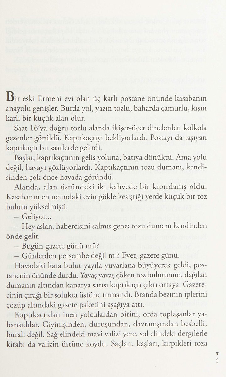 Zübük: Kağnı Gölgesindeki İt