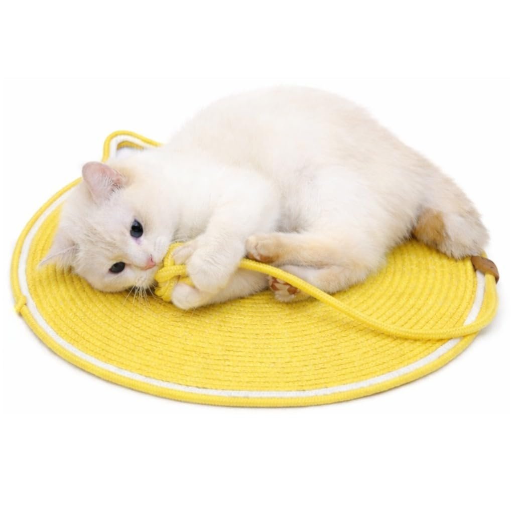 AEE® Kedi Oyun ve Tırmalama Paspası 47 CM – Aktivite Oyuncağı, Doğal Sisal Halatlı, Yuvarlak Kedi Tırmalama Matı – Yatan, Oynayan ve Tırmalayan Kediler İçin (Karışık Renk)
