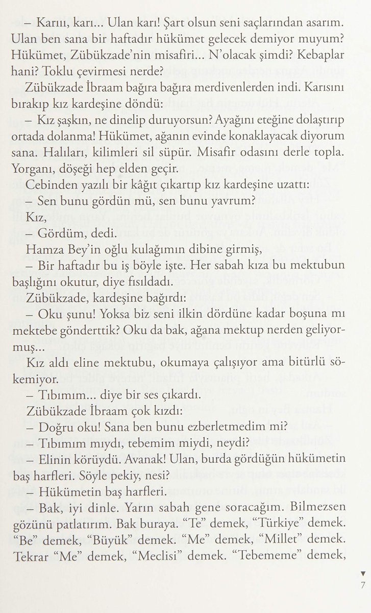 Zübük: Kağnı Gölgesindeki İt