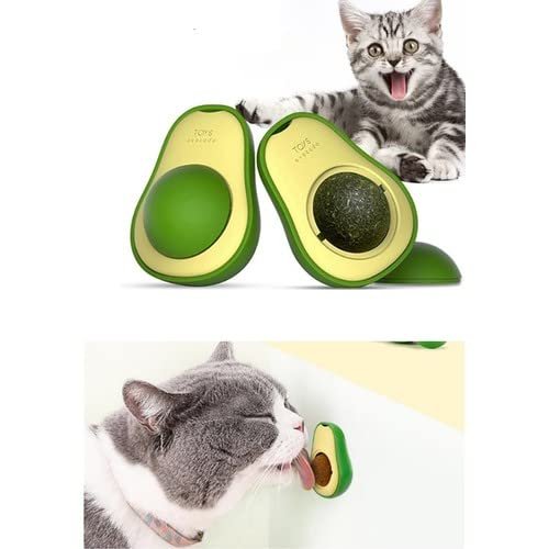 Petistera Avokado Catnip (Kedi Nanesi) Yalama Topu