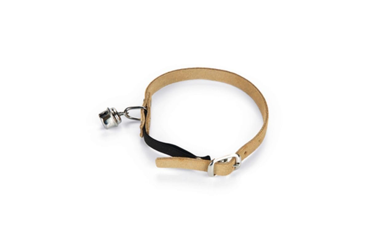 Beeztees Kedi Boyun Tasması, Bej, 24-29cm