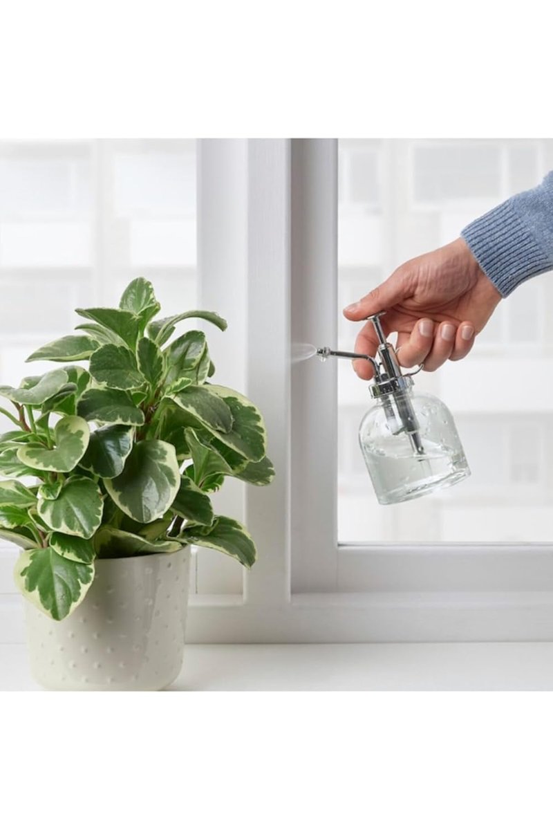 IKEA Bitki Sulama Şişesi 25 Cl 16 Cm Sulama Sprey Şişesi Saksı Çiçek Bitki Bahçe Cam Sulama Kabı Şiş